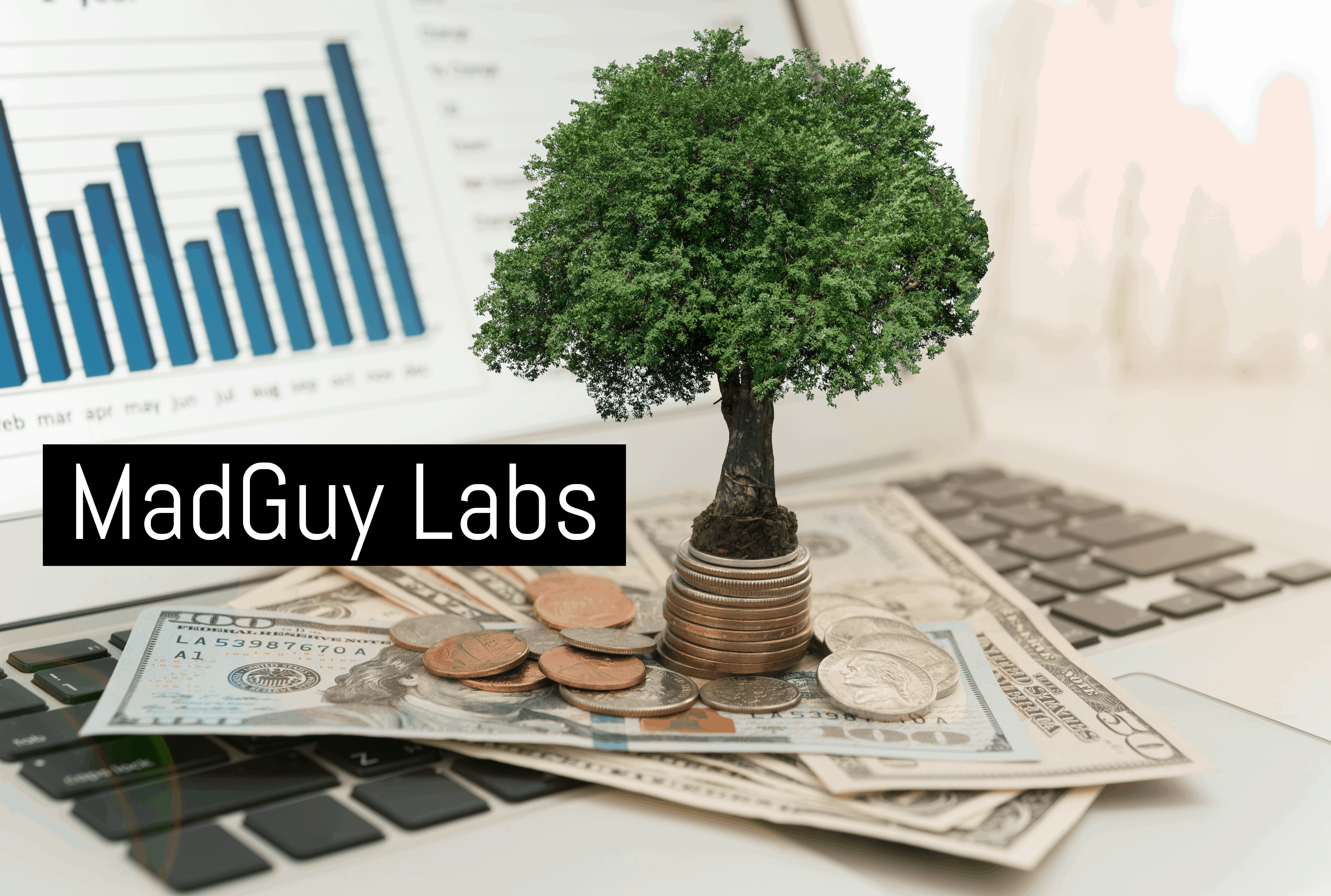 Madguy Labs