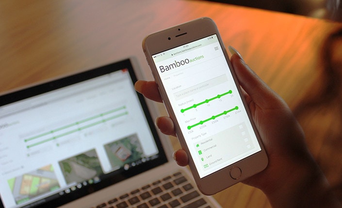 bamboo auctions 1 2