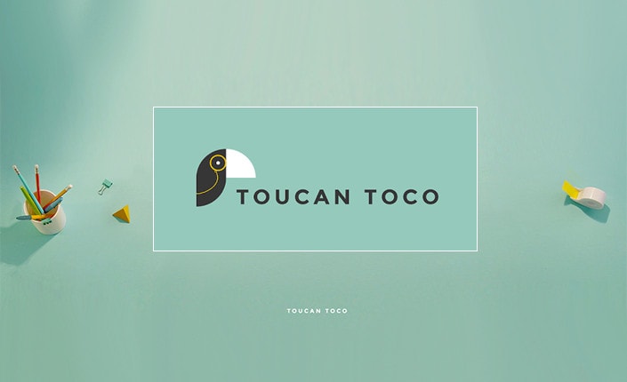 Toucan Toco 1 1
