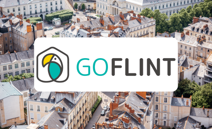 Goflint Interview Hero Image 4