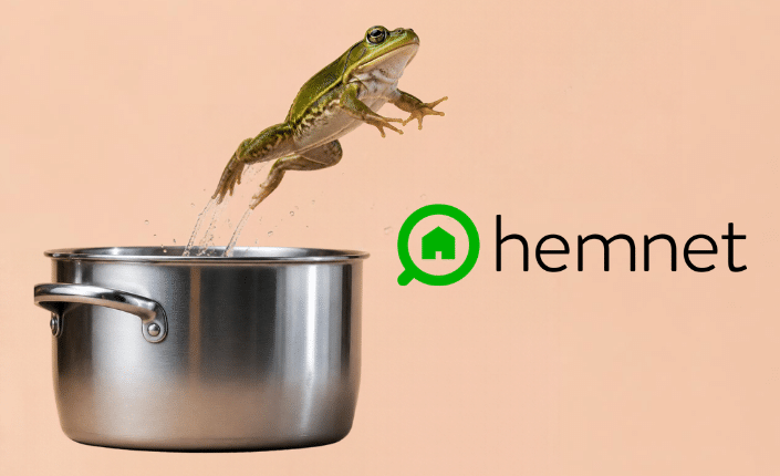 Hemnet frog hero image